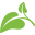 PNB Leaf Icon